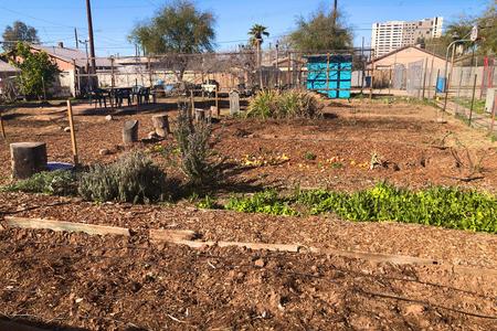Garfield Community Garden just after planting